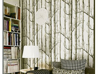 Modern Rustic Forest Birch Tree wallpaper 