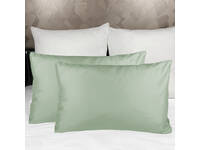 Queen Size Pillowcase - Sage Green (PAIR)