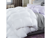 Single Size 600GSM Microluxe Quilt/Doona by Renee Taylor